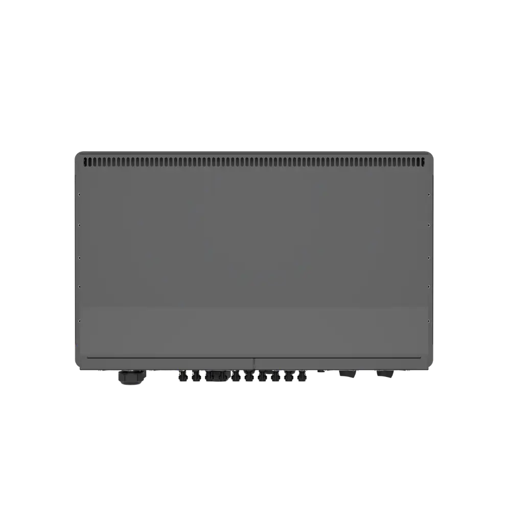 Merc-G1A-HE-dorsal-view.webp